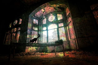 华丽追风 限量霓彩幻音套装礼盒，颠覆驾驶快感