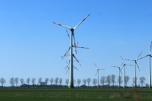 (新射雕群侠最新传功表)探秘新射雕群侠传官方网站，揭秘群英汇聚的神秘之地