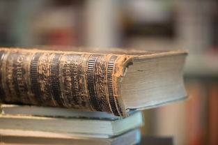 在画满鹅卵石的本子上绘制的绘本叫做《鹅卵石之书：灵感的涟漪》。