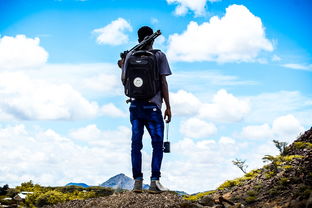 生化危机4手机版汉化版全攻略：畅玩经典恐怖冒险游戏的终极指南