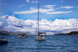 航海日记停服了怎么玩?别着急,这里有十种方法让你依然可以享受海上探险乐趣! 航海日记停服了怎么玩?别着急,这里有十种方法让你依然可以享受海上探险乐趣!