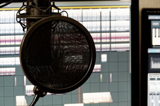 (电脑话筒不能用怎么办)电脑话筒突然无声怎么办？解决方法及修复步骤分享