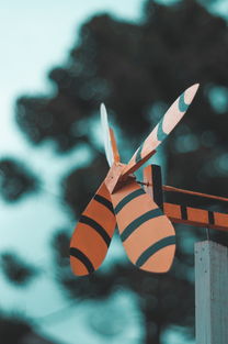 (伏魔六剑陈青云)探索青云诀之伏魔微信小程序：揭秘隐藏在云端的神秘力量