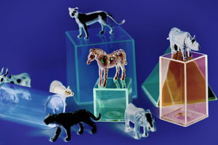 (逆向坍塌面包房行动发售时间)挑战逆向坍塌面包房行动,探索手游官网世界 (逆向坍塌面包房行动发售时间)挑战逆向坍塌面包房行动,探索手游官网世界