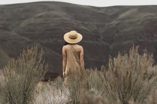 (勇敢小骑士绘本)勇敢小骑士支持双人冒险旅程：在未知世界中勇往直前