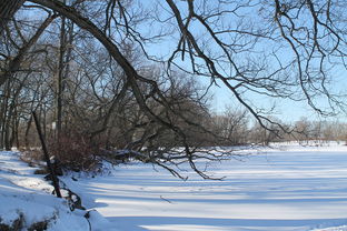 (受暴雪极端天气影响)危机之后暴风雪袭击：探究极端气候对全球经济恢复的深远影响