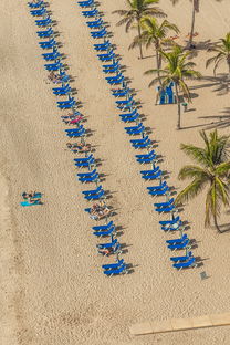 (全民养成破解版)全民养成：无数个分身等你来培养共同破关