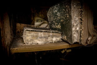 (星之荣耀)星之耀者CP合集：探寻星辰之间的绚烂爱恋