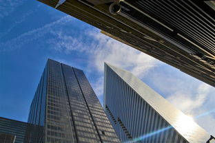 萍城异闻录开发者：透视城市神秘面纱的背后创意者和设计师们