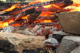 三国杀名将官方版下载安装指南,让你轻松体验经典战术对决游戏 三国杀名将官方版下载安装指南,让你轻松体验经典战术对决游戏