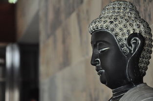 (魔能最强魔法)魔能学院最强阵容:八大角色完美搭配让你轻松通关塔防挑战 (魔能最强魔法)魔能学院最强阵容:八大角色完美搭配让你轻松通关塔防挑战