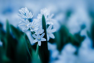 (幻想三国志2沈嫣结局)幻想三国志2:沈嫣怀孕了吗?关于角色命运的猜测和讨论 (幻想三国志2沈嫣结局)幻想三国志2:沈嫣怀孕了吗?关于角色命运的猜测和讨论