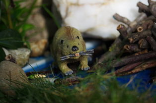 探索梦幻无间地狱的多重作用与潜在价值，揭示其在游戏世界中的深层意义