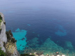 (在蔚蓝色的海湾里)在蔚蓝的月光下,追忆那些温暖的瞬间与无尽的梦想 (在蔚蓝色的海湾里)在蔚蓝的月光下,追忆那些温暖的瞬间与无尽的梦想