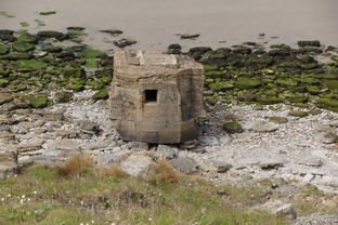 (探探猫过大年全集)探探猫大作战折扣活动全面解读,获取超值优惠的最佳攻略 (探探猫过大年全集)探探猫大作战折扣活动全面解读,获取超值优惠的最佳攻略