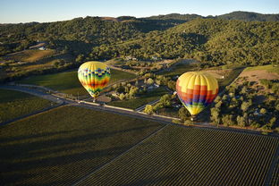 (我的农场下载安装)体验乡村生活的乐趣——探索我的农场旧版游戏
