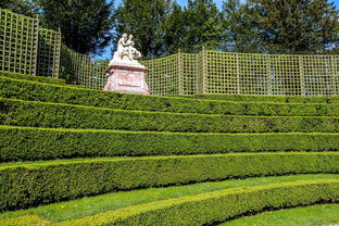 (我的农场下载安装)体验乡村生活的乐趣——探索我的农场旧版游戏