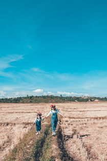 (我将勇敢的面对它用英语怎么说)我将勇敢者的生活化作一曲折相思,细数心中的坚韧与柔情 (我将勇敢的面对它用英语怎么说)我将勇敢者的生活化作一曲折相思,细数心中的坚韧与柔情