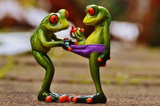 哆啦a梦牧场物语攻略:完整指南带你一步步玩转这个超乐趣的农场模拟游戏 哆啦a梦牧场物语攻略:完整指南带你一步步玩转这个超乐趣的农场模拟游戏