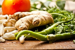 (烹饪狂人2020)烹饪狂人畅玩版:探索美食世界,释放厨艺激情 (烹饪狂人2020)烹饪狂人畅玩版:探索美食世界,释放厨艺激情