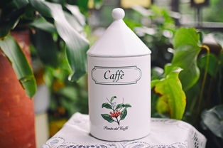 (冲泡茶饮推荐)品茗好去处：探寻十款适合冲泡的优质茶叶