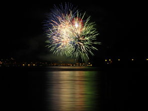 (烟花模拟器鲤鱼ace)烟花模拟器鲤鱼同款，华丽绚烂的夜空之舞