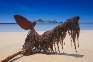 (冈布奥 地狱边境)探秘非洲奇景：详细揭秘冈布奥地狱边境旅行攻略和注意事项
