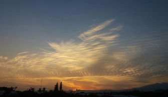 只需一键点击，即可体验新奇有趣的老婆们大战胖僵尸游戏，无限金币任你享用，更有免广告功能让你畅玩无阻!