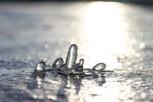 探索四季之最：不同的冬天图文攻略，体验世界各地别样的冬季魅力与文化风情