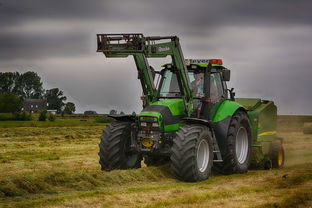 (割草工具图片)割草工具及技巧分享：让你的草坪焕然一新