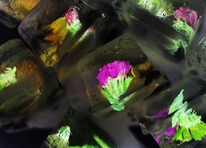 (辉晶石是什么样子)辉水晶伝说：探索水晶背后的神秘传说与文化意义