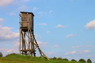 (狩猎系统)从狩猎起源，探析武道之道：从狩猎开始的武道之路