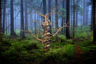 (像素男友图文攻略攻略)像素男友全攻略：如何征服虚拟世界中的心动他人？