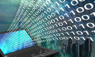 (爱飞翔的小鸟微信小程序辅助)2024年小鸟爱飞翔特别礼包码大放送，限量抢购快来领取！