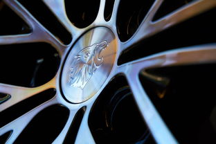 (无限狂飙车辆图鉴)尽显极速魅力！无限狂飙车辆全解锁乐无穷