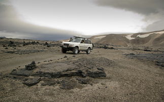 (无路可走陷入困境)彻底陷入困局，无路可退的意思是什么？