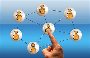 2024年白板队伍排行榜：揭秘未来最具潜力的领先企业和团队排名情况