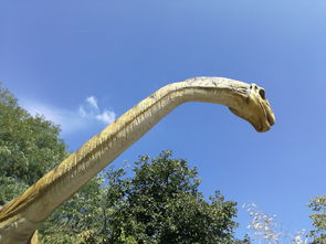 (恐龙世界介绍恐龙种类)深入了解恐龙世界:恐龙词条大全包含100篇详尽资料 (恐龙世界介绍恐龙种类)深入了解恐龙世界:恐龙词条大全包含100篇详尽资料