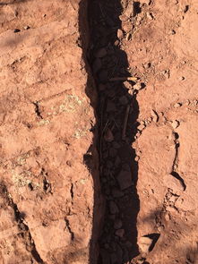 (隐藏的家伙沙漠宝藏)探寻隐藏的家伙：沙漠攻略及隐秘之处探索指南