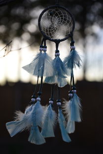 (东方归言录正式服)东方归言录国服官网：探寻中国传统文化之美