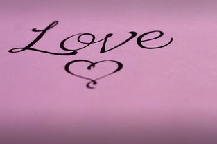 (你爱的人不是我歌词是什么意思)你爱的人却不是我，让我学会了放手和坦然接受现实