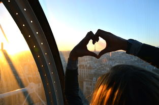 无广告体验丨屋顶神狙手免广告版：求生策略与极致射击的双重挑战之旅