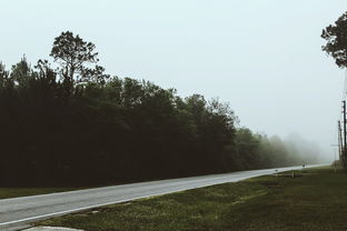 (绘旅人探索之旅白情剧情)探秘绘旅人最新动态：发现旅游界的新趋势和信息