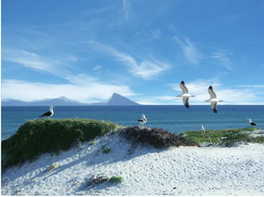 针对网友质疑,揭秘'幻世九歌'是否真的是诈骗游戏?玩家遭遇悲剧还是误解? 针对网友质疑,揭秘'幻世九歌'是否真的是诈骗游戏?玩家遭遇悲剧还是误解?