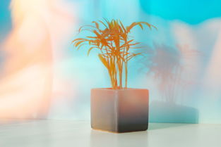 (爱情晚点遇见的句子)爱情晚遇：意味着命运让你在恰当的时间遇见爱情吗？