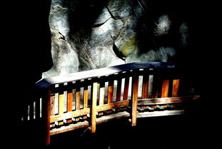 (九个绝美师姐图片)探秘九位绝色师姐的传奇故事,限时免费阅读揭秘内幕 (九个绝美师姐图片)探秘九位绝色师姐的传奇故事,限时免费阅读揭秘内幕