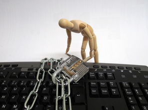 (电脑狂人第一季)电脑狂人第四季精彩剧情解析,续写黑客文化的新篇章 (电脑狂人第一季)电脑狂人第四季精彩剧情解析,续写黑客文化的新篇章