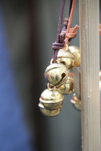 (无限钻石无限金币无限珍珠)无限钻石无限金币的串串无限乐趣,让你上瘾不停 (无限钻石无限金币无限珍珠)无限钻石无限金币的串串无限乐趣,让你上瘾不停