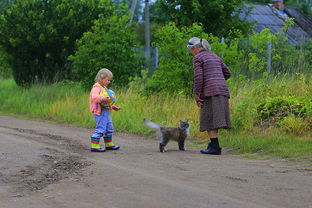 (乡村爱情感人视频)在乡村爱情的映衬下,尽享快乐人生的温馨时光与美好瞬间 (乡村爱情感人视频)在乡村爱情的映衬下,尽享快乐人生的温馨时光与美好瞬间