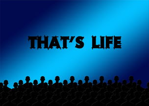 最新影视大全电脑版纯净版：无广告、高清体验，影视追剧的首选